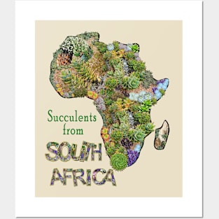 Succulents from South Africa Posters and Art